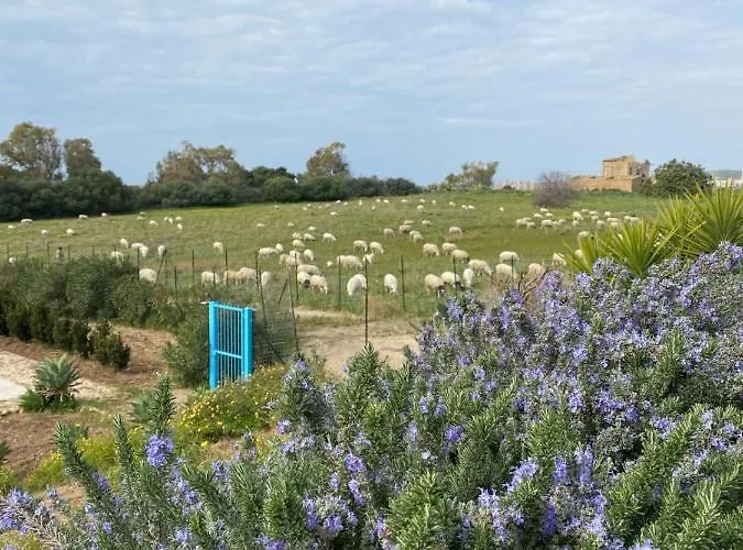 Casa Collis Apartamento San Leone