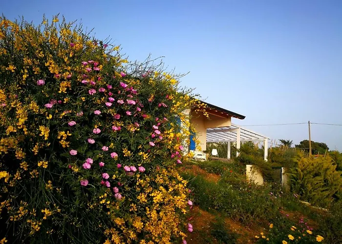 公寓 Casa Collis *